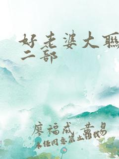 好老婆大联盟第二部