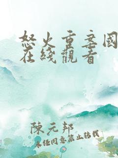 怒火重案国语版在线观看