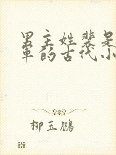 男主姓裴是个将军的古代小说