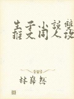 生子小说双男主推文同人攻文