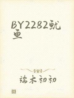 BY2282鱿鱼