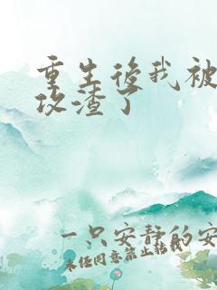 重生后我被忠犬攻渣了