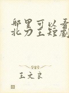 哪里可以看全集北刀王短剧