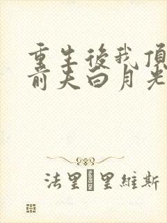 重生后我顶替了前夫白月光书评