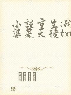 小说重生:我老婆是天后txt免费阅读