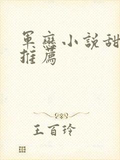 军恋小说甜宠文推荐