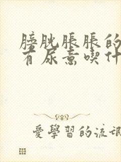 膀胱胀胀的经常有尿意吃什么药