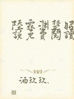 陆霖渊楚昭思小说免费阅读最新章节