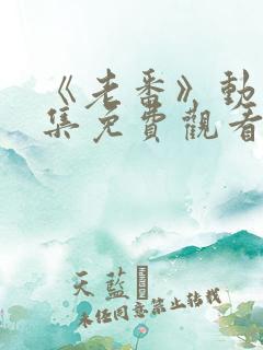 《老番》动漫全集免费观看