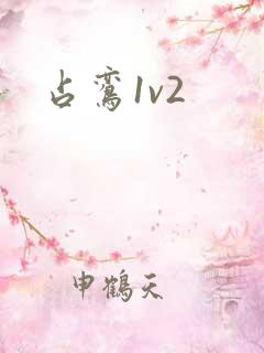 占鸾1v2