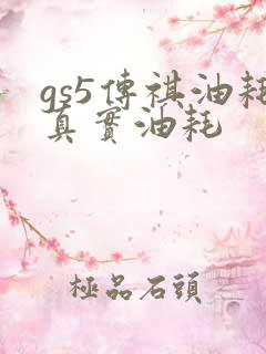 gs5传祺油耗真实油耗