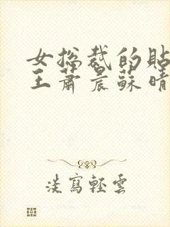 女总裁的贴身兵王萧晨苏晴