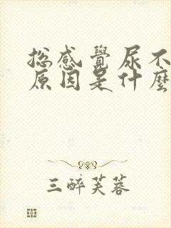 总感觉尿不尽的原因是什么