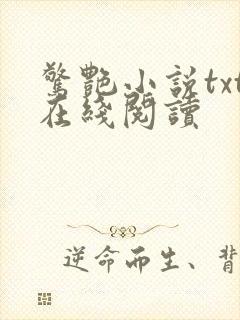 惊艳小说txt在线阅读