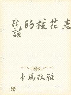 我的校花老婆小说