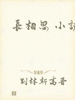 长相思 小说