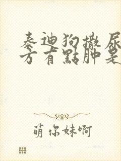 泰迪狗撒尿的地方有点肿是什么病