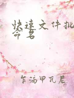 快速文件批量重命名