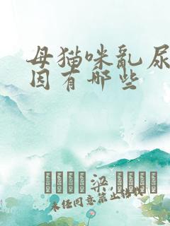 母猫咪乱尿的原因有哪些