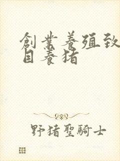 创业养殖致富项目养猪