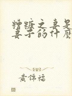 糟糠之妻是形容妻子的什么