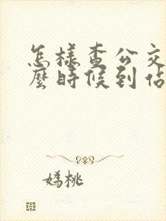 怎样查公交车什么时候到站