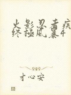 火影忍者疾风传终极风暴4