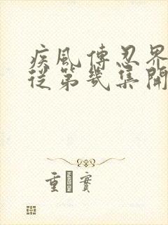 疾风传忍界大战从第几集开始