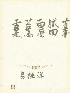 舌苔白腻有裂纹是怎么回事