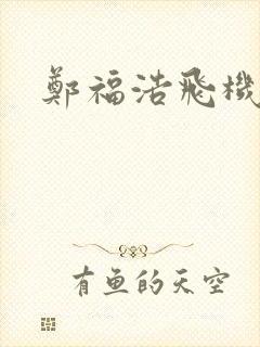 郑福浩飞机坠海