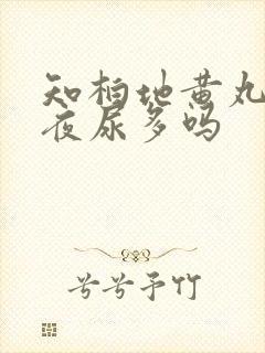 知柏地黄丸治疗夜尿多吗