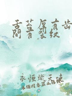 舌苔厚有齿痕中间有裂纹