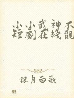 小小武神不好惹短剧在线观看