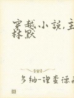 穿越小说,主角林默