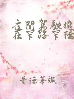 夜间驾驶机动车在窄路窄桥会车