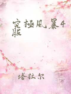 究极风暴4 正版