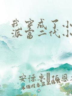 我穿成了小说反派富二代小说