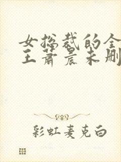 女总裁的全能兵王萧晨未删减版