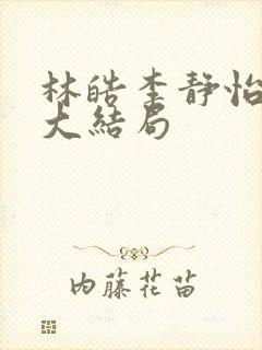 林皓李静怡小说大结局