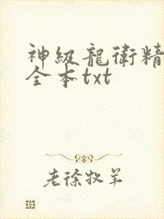 神级龙卫精校版全本txt