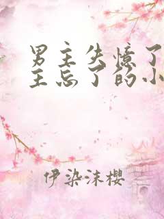 男主失忆了把女主忘了的小说