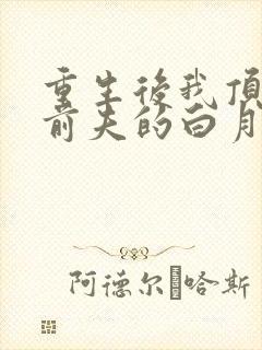 重生后我顶替了前夫的白月光免费阅读