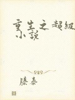 重生之超级富豪 小说