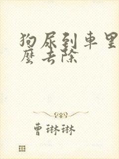 狗尿到车里味怎么去除