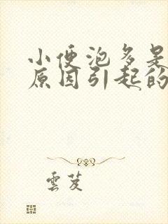 小便泡多是什么原因引起的