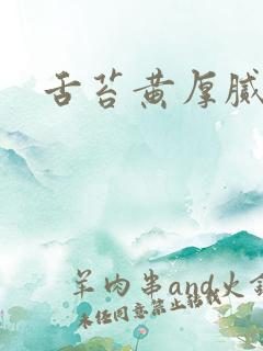 舌苔黄厚腻口苦