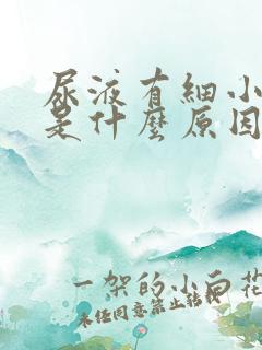 尿液有细小泡沫是什么原因