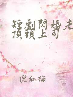 短剧闪婚老公是顶头上司