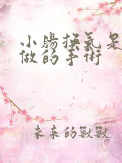 小肠换气是怎么做的手术