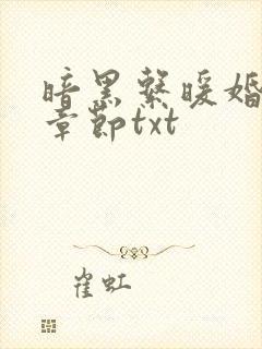 暗黑系暖婚最新章节txt